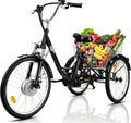 Fanesen E Bike Dreirad für Erwachsene 24 Zoll Elektro Dreirad Fahrrad, 36 V, 15Ah, 250W, Display, Schwarz