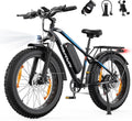 VARUN E Bike, Elektrofahrrad, 250 W, 25 km/h, 48 V, 18 Ah, 864 Wh, 150 KG, Edelstahl